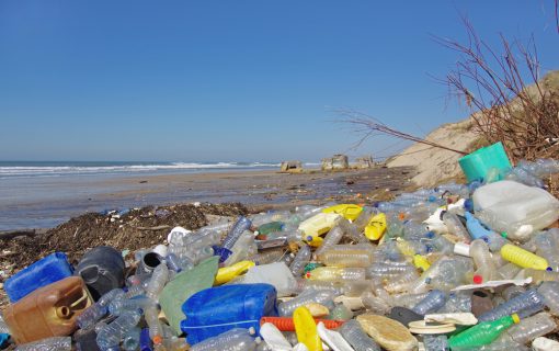 Why beach cleaning is more important now than ever