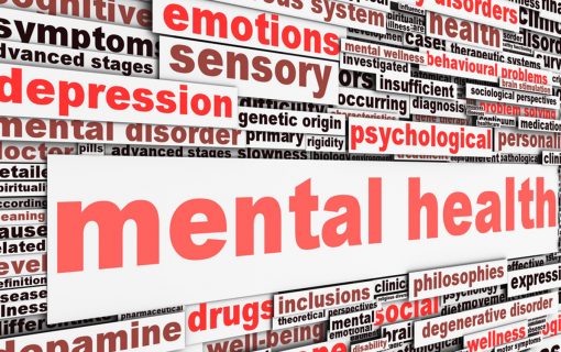 Memorial bench draws attention to importance of mental health