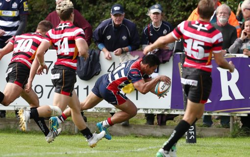Not over yet: Matt Bolwell signs for a further year at the Cornish Pirates