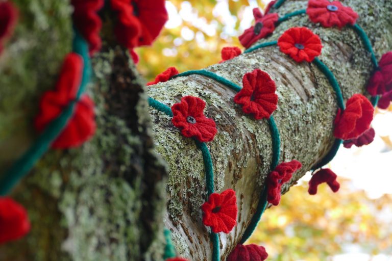 Why is it still important to celebrate Remembrance Day?