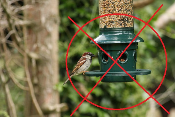 Vegans Banning Bird Feeders; Whatever Next?