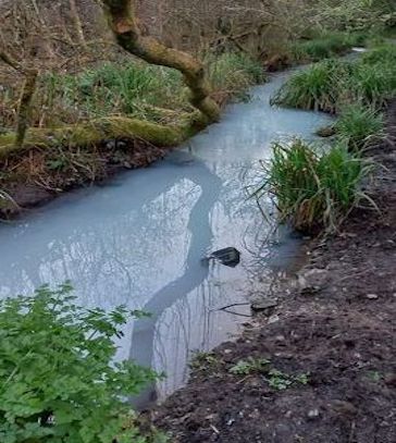 Tregoniggie stream polluted again