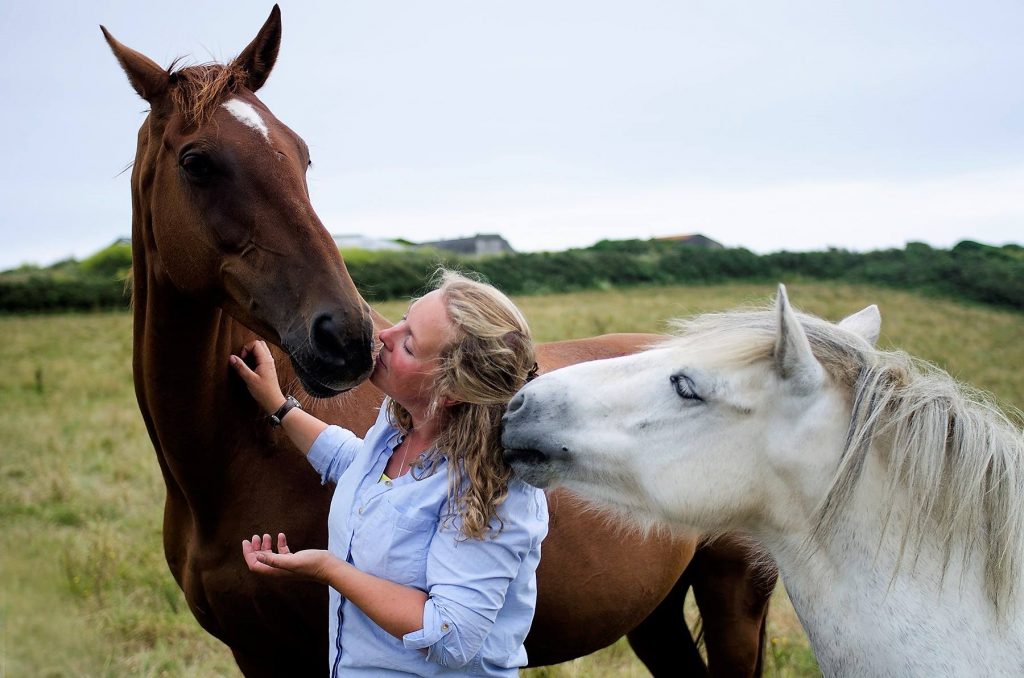 Horses make great therapists, says GP